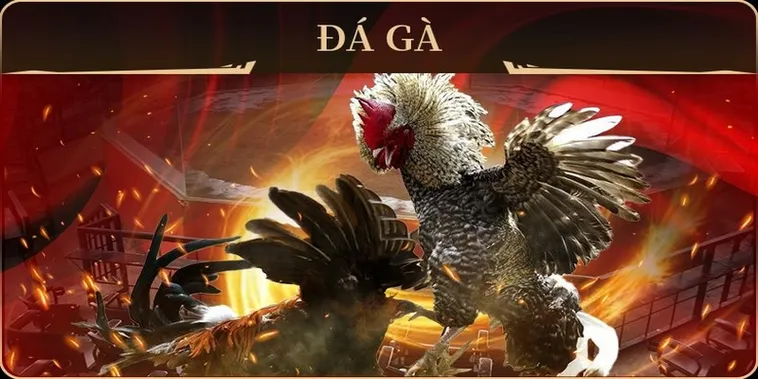 Hướng Dẫn Cách Chơi Đá Gà GA28 Tại JBO Đầy Kịch Tính Và Thú Vị