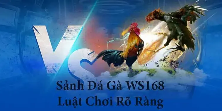 Hướng Dẫn Cách Chơi Đá Gà WS168 Tại JBO Đầy Hấp Dẫn Và Sôi Động